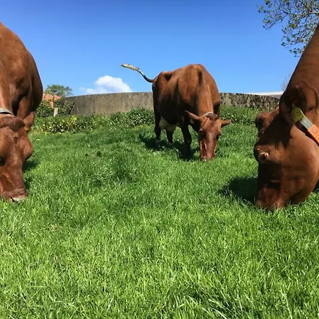 Scheideheck Apartment *