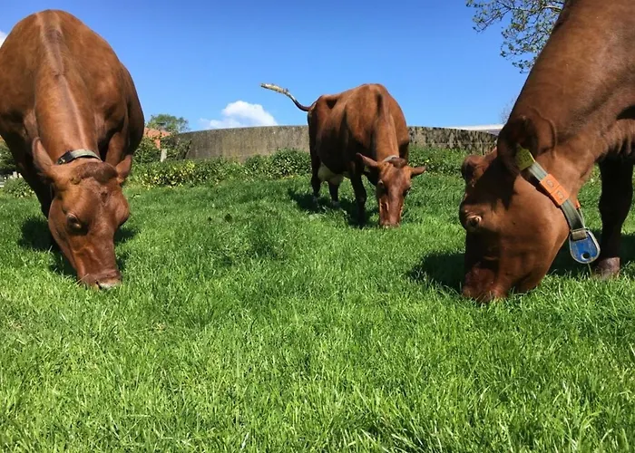 Scheideheck Appartamento *